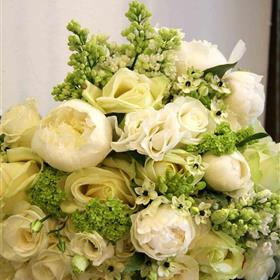 fwthumbFahmida patel 1.jpg